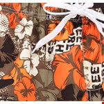 ED Baxter Hawaii Swim Short - pr_1512